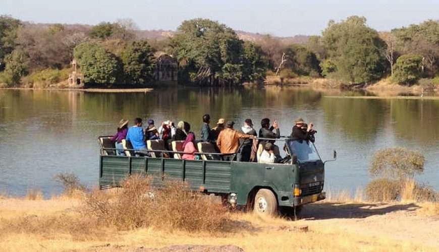 Canter Safari At Ranthambore