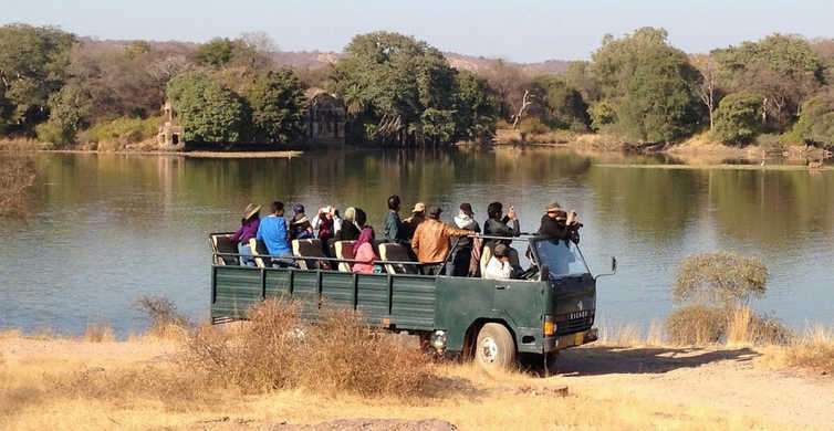 Canter Safari At Ranthambore