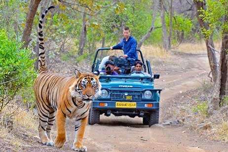 Jeep Safari